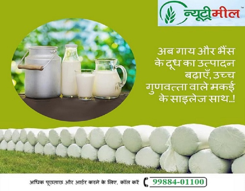 Silage Rajpura